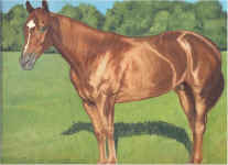 Lillypond horse.jpg (96254 bytes)